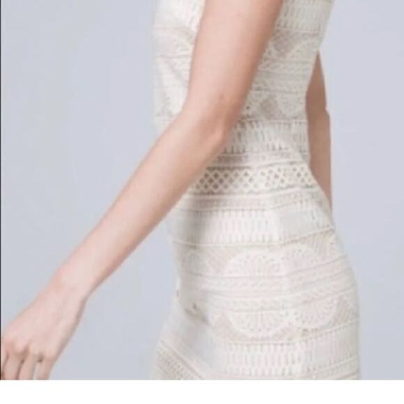 White House Black Market Lined Shift Dress With Medallion Lace Ecru NWT Sz 6 - Picture 5 of 14